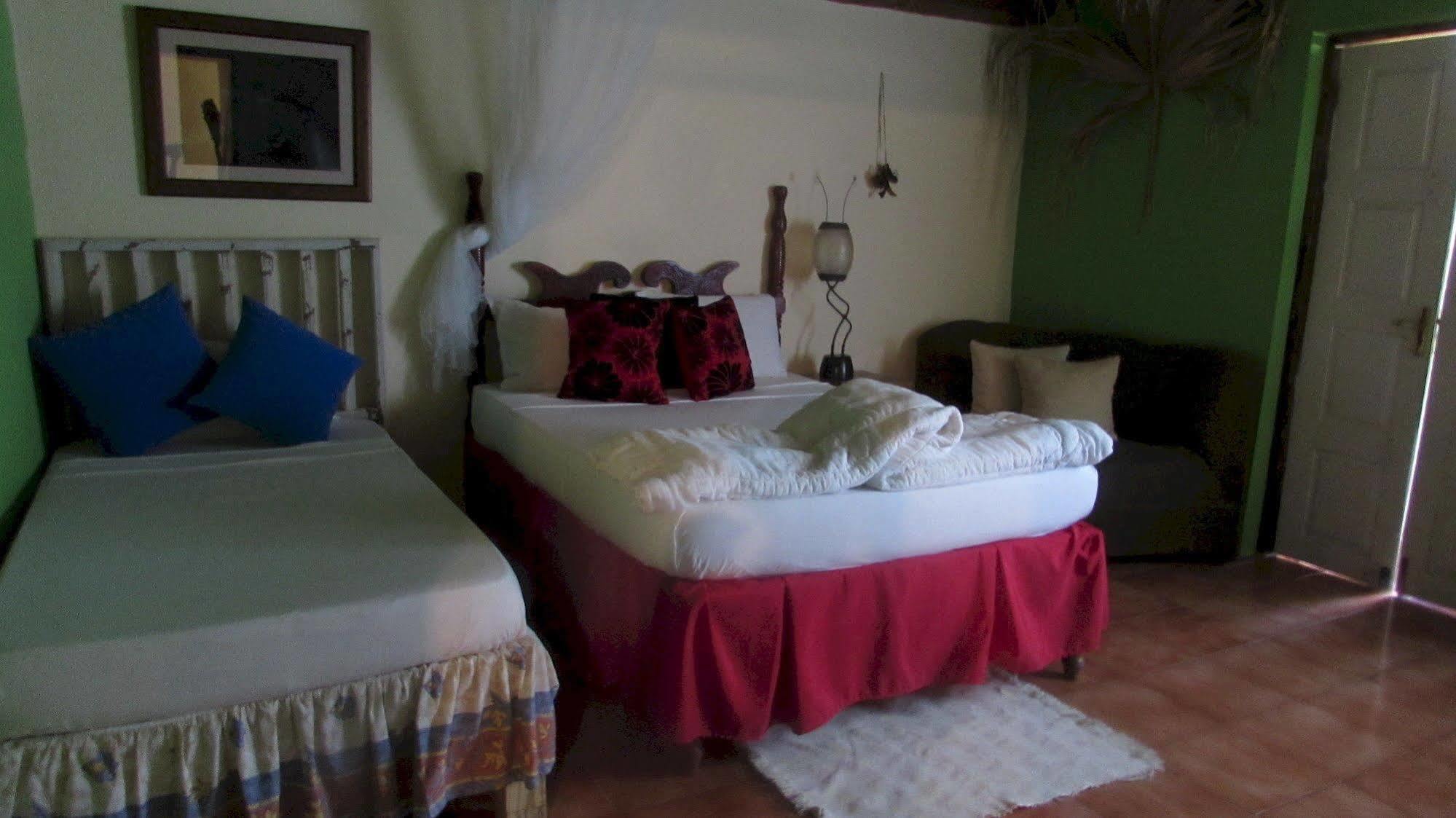 Rafjam Bed & Breakfast Newcastle Exterior foto